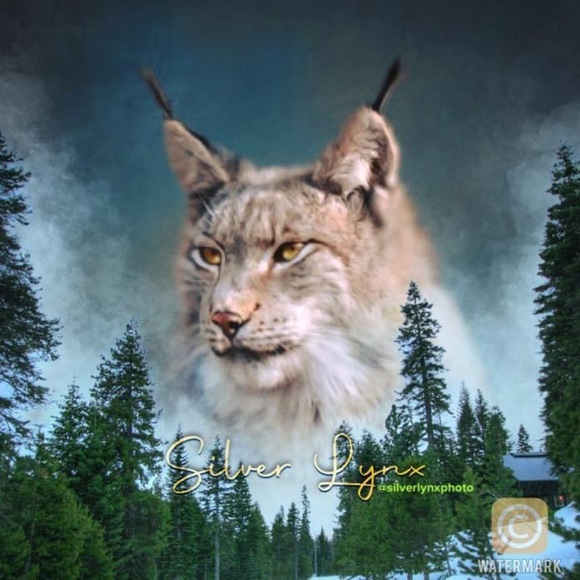 Meet your Posher, Silver - Picture 1 of 1